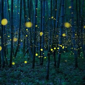 黄色毛毛靠逼受不了男女做爱直播
