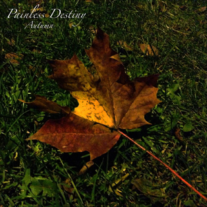 黄色毛毛靠逼受不了男女做爱直播
